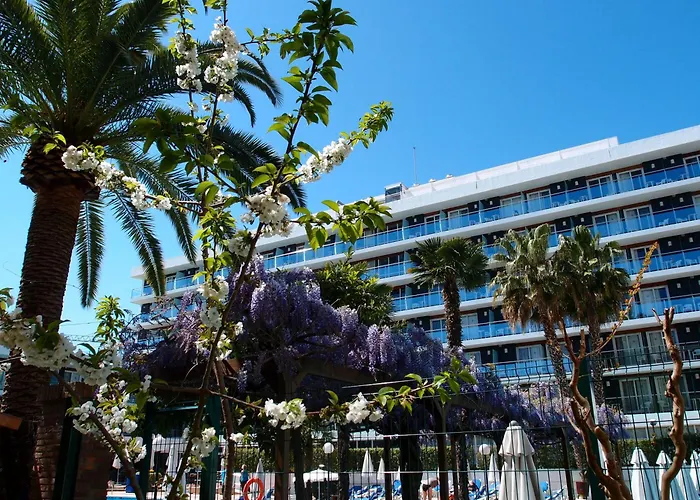 Anabel Hotell 4*
